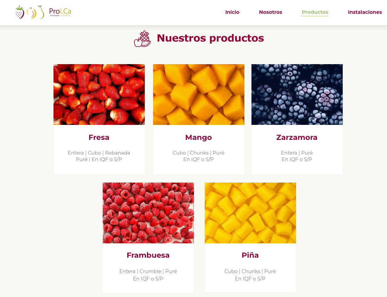 Web design's time portfolio