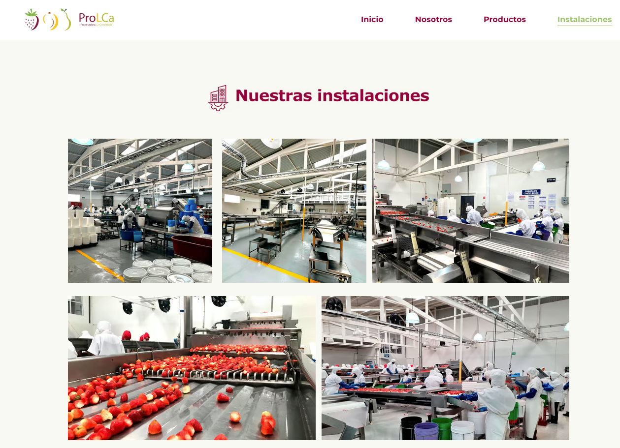 Web design's time portfolio